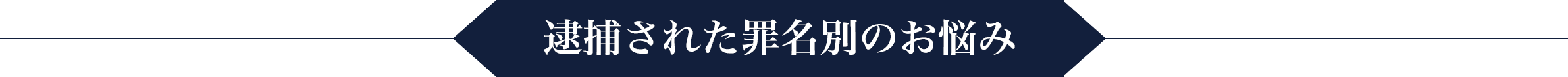 逮捕された罪名別のお悩み