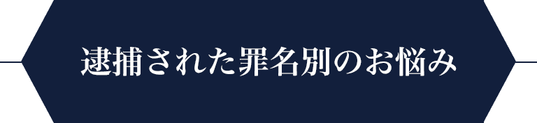 逮捕された罪名別のお悩み